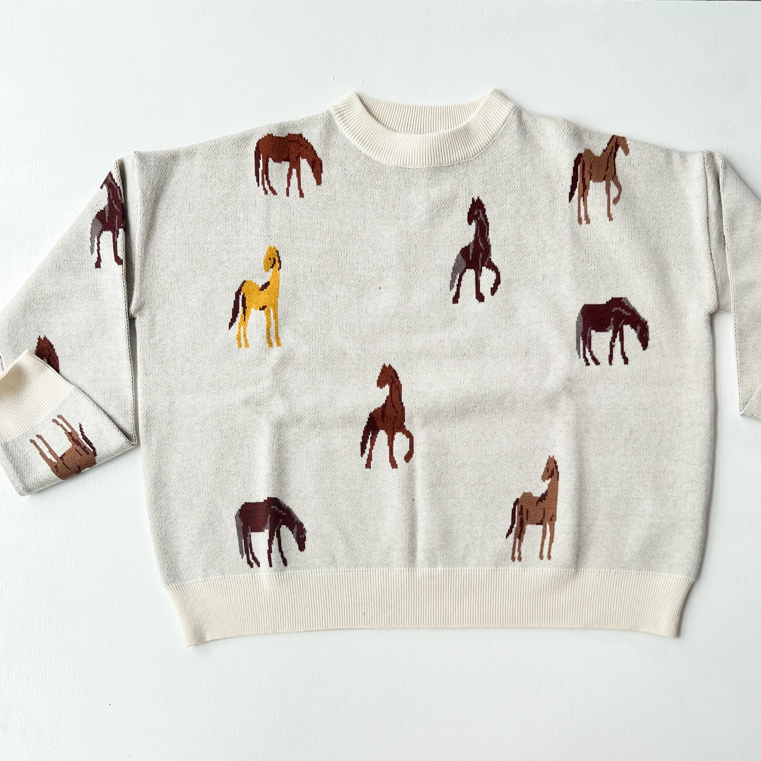 Giddy Up Sweater