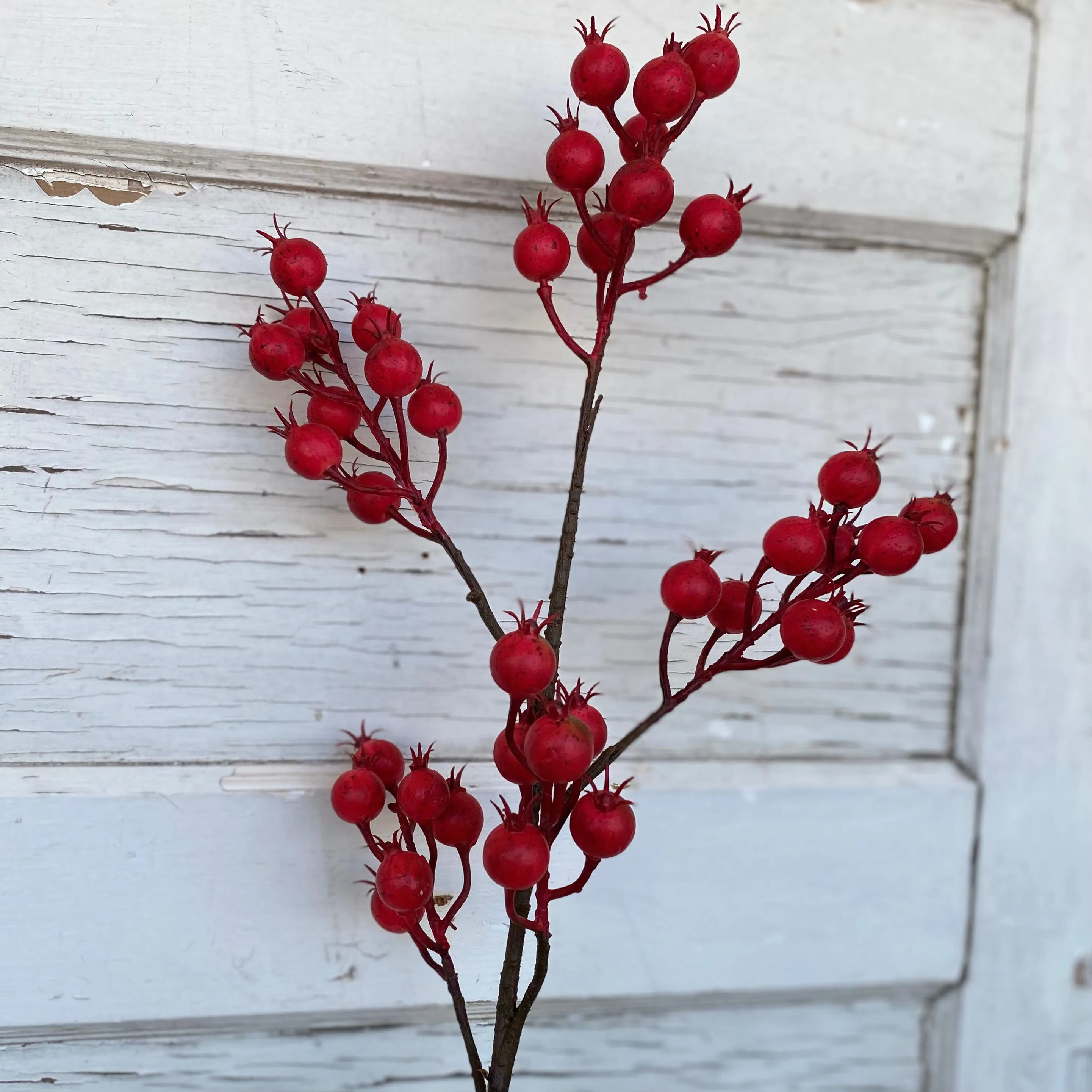 Harvest Crabapple Spray
