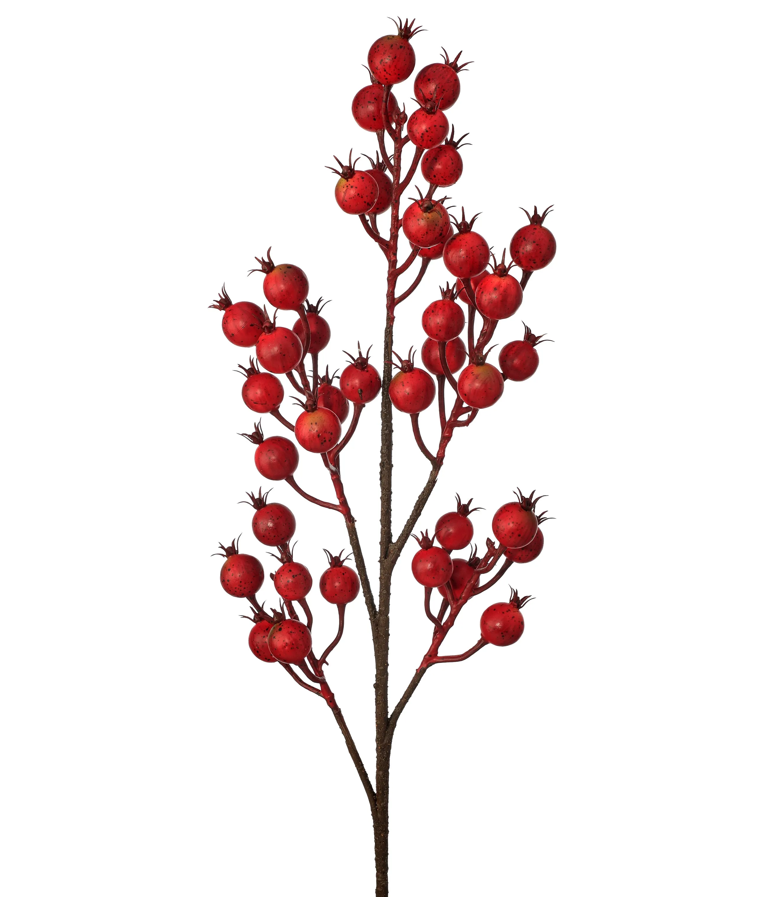 Harvest Crabapple Spray