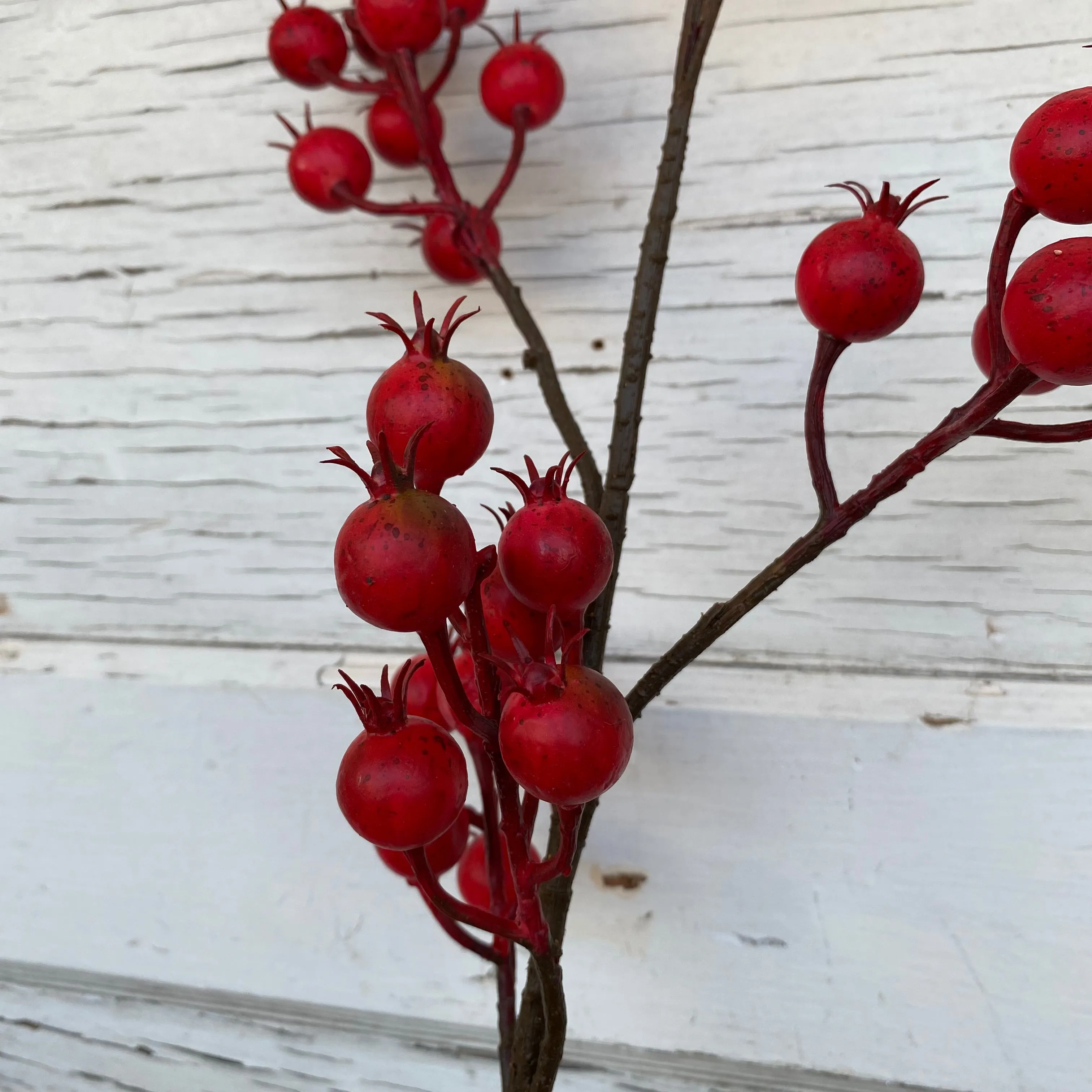 Harvest Crabapple Spray